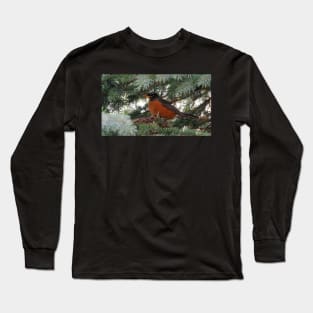 Momma American Robin In Her Nest Long Sleeve T-Shirt